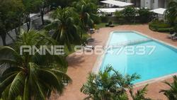 Peach Garden (D15), Apartment #81060902